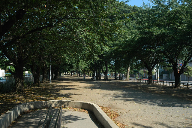 DSC_0090