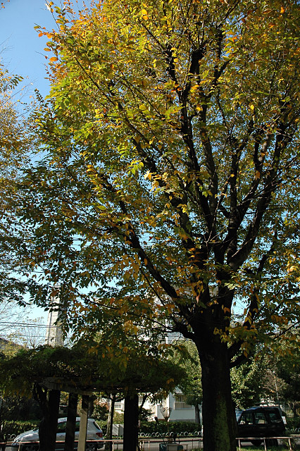DSC_0012