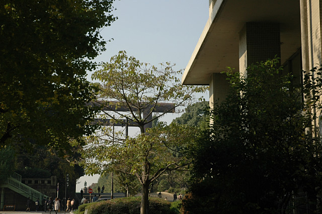 DSC_0010