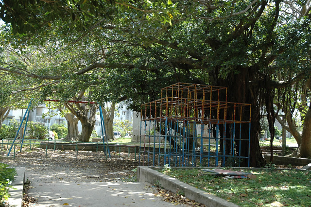 DSC_0042