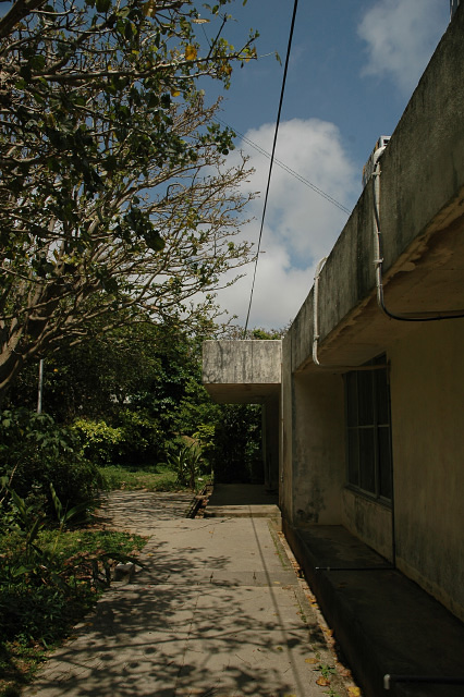 DSC_0050