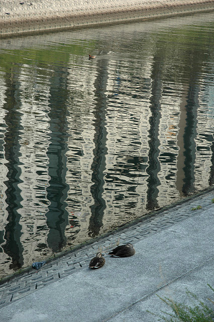 DSC_0178